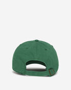 Philadelphia Eagles Clean Up Snapback Hat