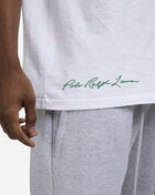 Polo Ralph Lauren Classic Fit Jersey Graphic T-Shirt 710866251021-WHT-GRN White 3