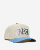 Finesse 2 Tone Wool Trucker