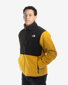Denali 2 Jacket