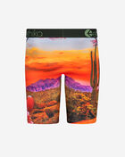 Desert Dogs Briefs
