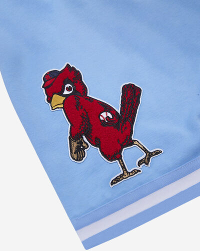 St. Louis Cardinals Classic Chenille Double Knit Short 