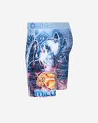 Lion Brix Briefs