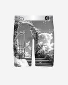 Ethika Free Ya Mind Briefs MLUS3606 Multi 2