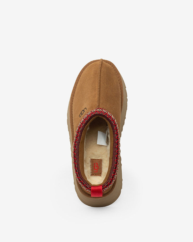 uggs tazz brown