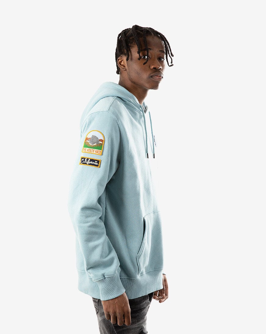 the north face novelty patch hoodie sweatshirt