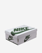 Jordan Air Jordan 1 Retro High OG FD2596-101 Green 10