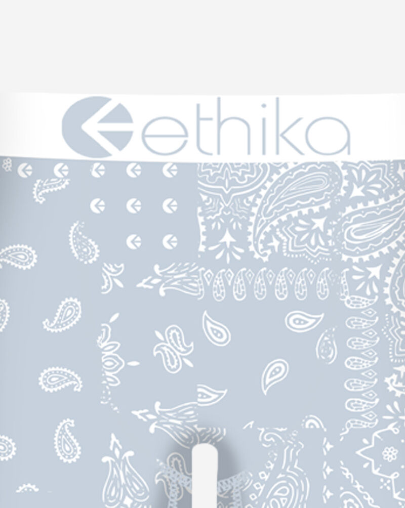 Ethika The Feds Briefs  MHOAAJ2511 Multi 2