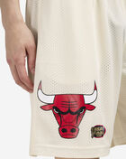 Chicago Bulls Mesh Practice Shorts