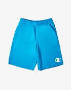 Powerblend Graphic Shorts