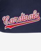 Big Boys' St. Louis Cardinals Classic Fleece Sweatpant