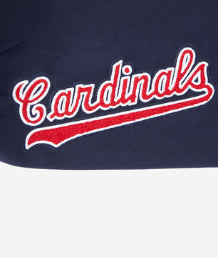 Big Boys' St. Louis Cardinals Classic Fleece Sweatpant