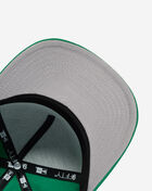 New Era 9Fifty Philadelphia Eagles Cartoon A-Frame Snapback Hat 60792253 Green 4