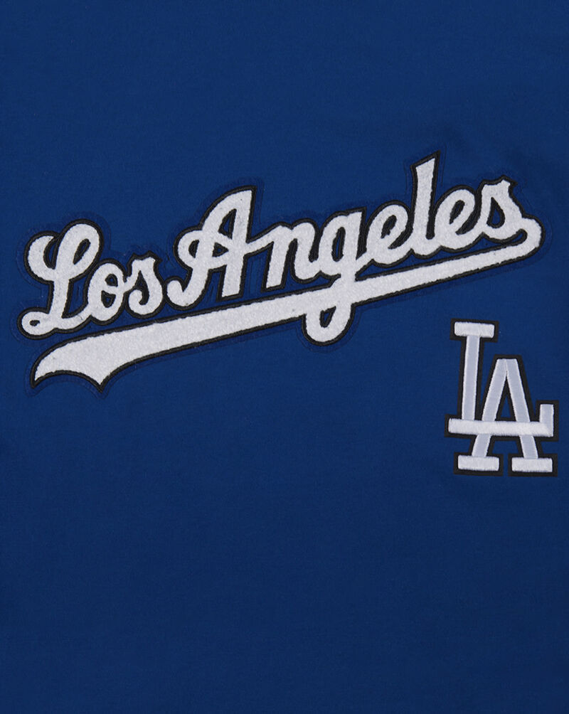 PRO STANDARD Big Boys' Los Angeles Dodgers Retro Classic Striped Rib Tee LLDB1315129-DBL Blue 2