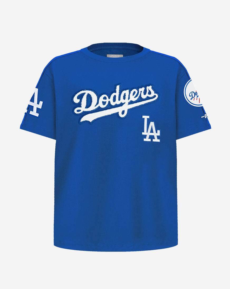 Shop PRO STANDARD Big Boys' Los Angeles Dodgers Freddie Freeman #5