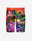 Ethika Western Highline Briefs MLUS3550 Multi 1