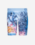 Lion Brix Briefs