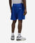 Detroit Pistons Mesh Shorts