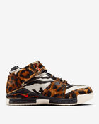 Zoom LeBron II LX QS
