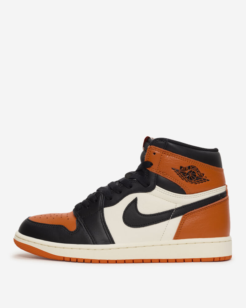 Jordan Air Jordan 1 Retro DZ5485-008 Black 1