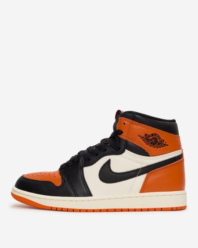 Air Jordan 1 Retro