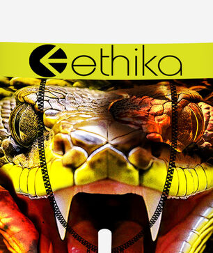 Grade School Bite Back Briefs