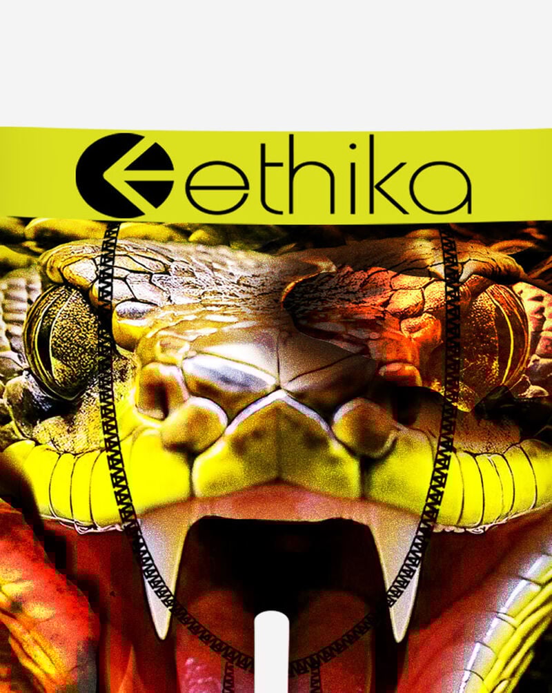 Ethika Grade School Bite Back Briefs BFAAAI2509 Multi 2