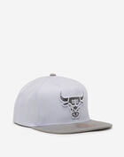 Chicago Bulls Cool Grey 7 Snapback