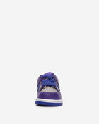 Nike Toddler Dunk Low FB9107-007 Purple 3
