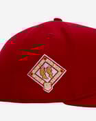 9Fifty Boston Red Sox Metallic A-Frame Snapback Hat