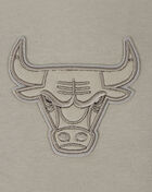 Chicago Bulls Neutral Cropped Pullover Hoodie