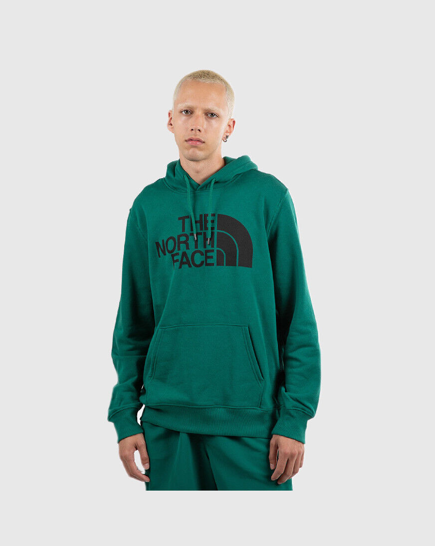 the north face evergreen hoodie