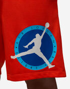 Flight Mvp Mesh Shorts
