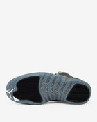 Air Jordan 12 SE "Utility"