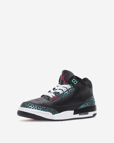 Big Kids' Air Jordan 3 Retro