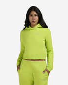 Nike NSW Phoenix Fleece Shrunken Hoodie IM7494-389 Green 1