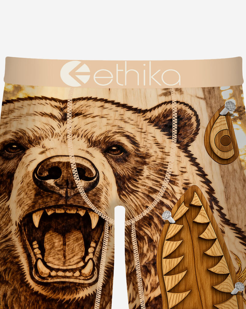 Ethika BMR Grizzy Gain Briefs MFAAAH2601 Multi 2