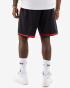 Mitchell & Ness Toronto Raptors Big Face 2.0 Shorts SHORBW19147-TRABLCK Black 3