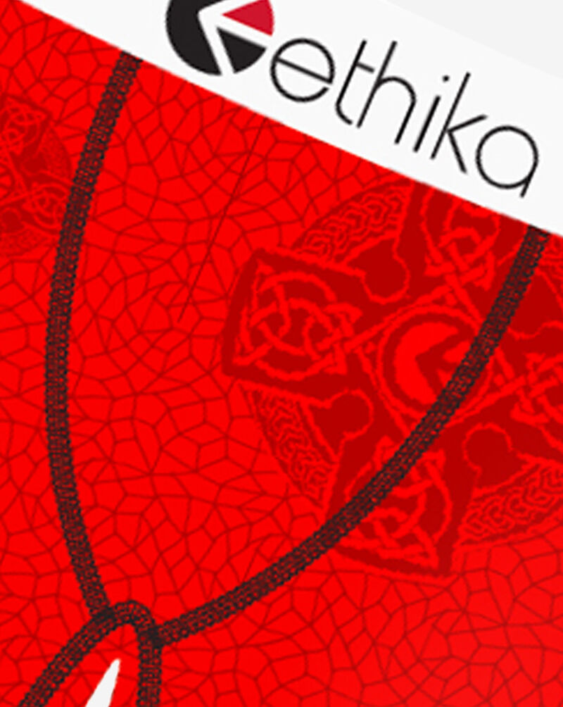 Ethika Prophesy Briefs  MLUS3591 Multi 2