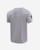 PRO STANDARD Dallas Cowboys Classic Chenille Tee FDC1410291-GRY Grey 3