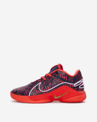 Big Kids' LeBron XXII SE