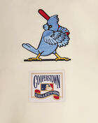 PRO STANDARD St. Louis Cardinals Retro Short Sleeve Classic Rib Satin Jacket  LSC635481-EUN cream 4