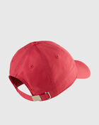 Metal Swoosh H86 Adjustable Hat