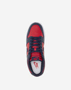 Dunk Low Retro