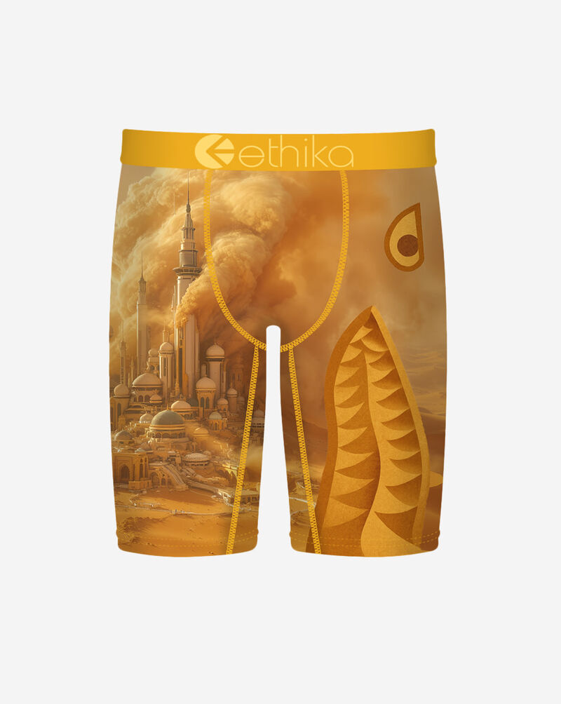 Ethika BMR Dustfall Briefs MSPAAD2601 Multi 1
