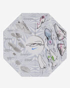 Nike Big Kids' LeBron XXII SE HQ3673-400 Black 9