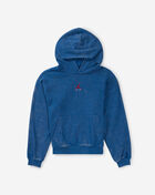 Jordan Big Kids' Brooklyn Pullover Hoodie 95G229-TRUEBLUE Blue 1