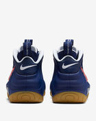 Foamposite Pro
