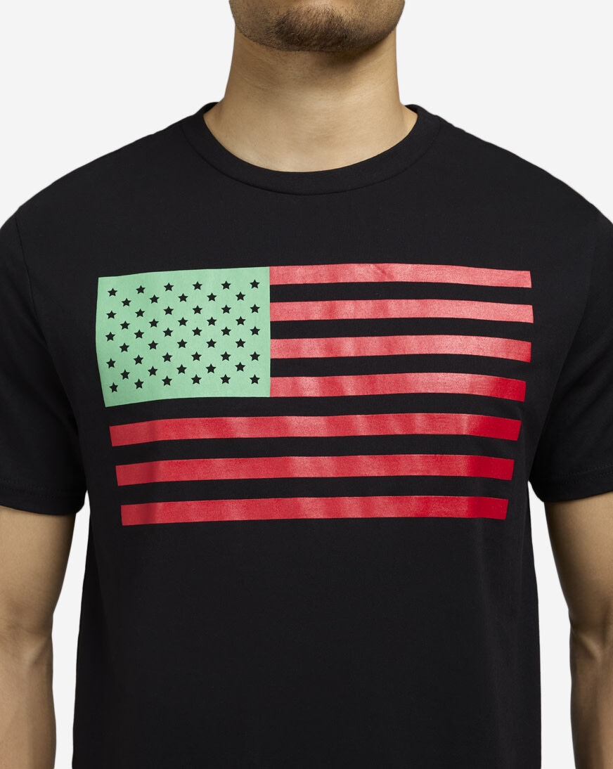 Shop Mister Tee Juneteenth Big Flag Tee MTUS435-US-00007 black
