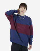 NSW Club Color Blocked Crew